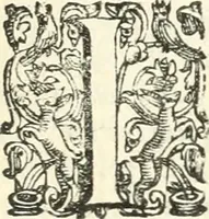 Picture 3 of 233 from Imprese illvstri di diuersi (1586), leaf 10