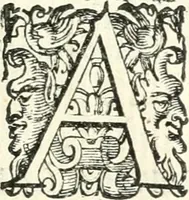 Picture 66 of 233 from Imprese illvstri di diuersi (1586), leaf 100