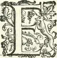 Picture 72 of 233 from Imprese illvstri di diuersi (1586), leaf 109