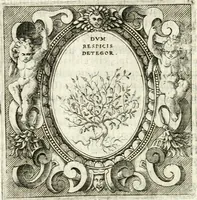 Picture 75 of 233 from Imprese illvstri di diuersi (1586), leaf 115