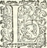 An illustration from Imprese illvstri di diuersi (1586)