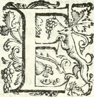 Picture 96 of 233 from Imprese illvstri di diuersi (1586), leaf 145