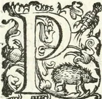 Picture 107 of 233 from Imprese illvstri di diuersi (1586), leaf 165