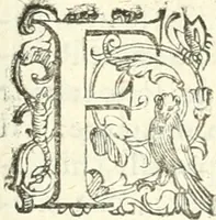 Picture 122 of 233 from Imprese illvstri di diuersi (1586), leaf 186
