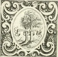 Picture 128 of 233 from Imprese illvstri di diuersi (1586), leaf 195