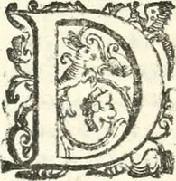 Picture 164 of 233 from Imprese illvstri di diuersi (1586), leaf 245