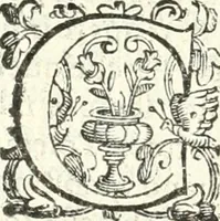 Picture 178 of 233 from Imprese illvstri di diuersi (1586), leaf 269