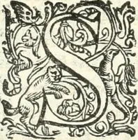Picture 202 of 233 from Imprese illvstri di diuersi (1586), leaf 305