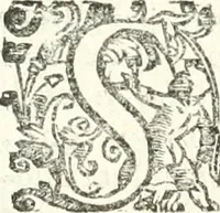 Picture 210 of 233 from Imprese illvstri di diuersi (1586), leaf 317