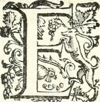 Picture 214 of 233 from Imprese illvstri di diuersi (1586), leaf 323