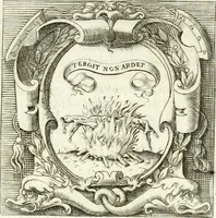 Picture 222 of 233 from Imprese illvstri di diuersi (1586), leaf 332