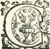 Picture 229 of 233 from Imprese illvstri di diuersi (1586), leaf 341