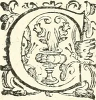 Picture 233 of 233 from Imprese illvstri di diuersi (1586), leaf 348
