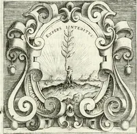 Picture 27 of 233 from Imprese illvstri di diuersi (1586), leaf 46