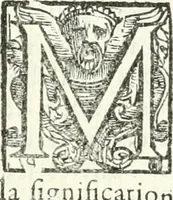 Picture 28 of 233 from Imprese illvstri di diuersi (1586), leaf 46