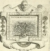 Picture 37 of 233 from Imprese illvstri di diuersi (1586), leaf 61