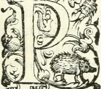 Picture 53 of 233 from Imprese illvstri di diuersi (1586), leaf 82
