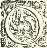 Picture 60 of 233 from Imprese illvstri di diuersi (1586), leaf 91