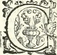 Picture 64 of 233 from Imprese illvstri di diuersi (1586), leaf 97