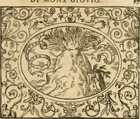 An illustration from Dialogo dell'imprese militari et amorose di monsignor Giovio, vescouo di Nocera : con vn ragionamento di messer Lodouico Domenichi nel medesimo soggetto ; con la tavola (1559)