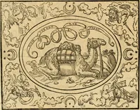 An illustration from Dialogo dell'imprese militari et amorose di monsignor Giovio, vescouo di Nocera : con vn ragionamento di messer Lodouico Domenichi nel medesimo soggetto ; con la tavola (1559)
