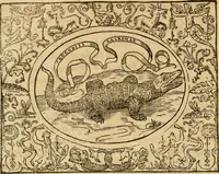 An illustration from Dialogo dell'imprese militari et amorose di monsignor Giovio, vescouo di Nocera : con vn ragionamento di messer Lodouico Domenichi nel medesimo soggetto ; con la tavola (1559)
