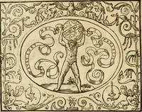 An illustration from Dialogo dell'imprese militari et amorose di monsignor Giovio, vescouo di Nocera : con vn ragionamento di messer Lodouico Domenichi nel medesimo soggetto ; con la tavola (1559)