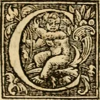 An illustration from Dialogo dell'imprese militari et amorose di monsignor Giovio, vescouo di Nocera : con vn ragionamento di messer Lodouico Domenichi nel medesimo soggetto ; con la tavola (1559)