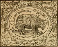 An illustration from Dialogo dell'imprese militari et amorose di monsignor Giovio, vescouo di Nocera : con vn ragionamento di messer Lodouico Domenichi nel medesimo soggetto ; con la tavola (1559)