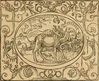 An illustration from Dialogo dell'imprese militari et amorose di monsignor Giovio, vescouo di Nocera : con vn ragionamento di messer Lodouico Domenichi nel medesimo soggetto ; con la tavola (1559)