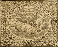 An illustration from Dialogo dell'imprese militari et amorose di monsignor Giovio, vescouo di Nocera : con vn ragionamento di messer Lodouico Domenichi nel medesimo soggetto ; con la tavola (1559)