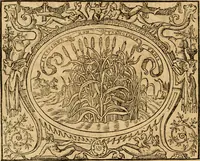 An illustration from Dialogo dell'imprese militari et amorose di monsignor Giovio, vescouo di Nocera : con vn ragionamento di messer Lodouico Domenichi nel medesimo soggetto ; con la tavola (1559)