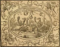 An illustration from Dialogo dell'imprese militari et amorose di monsignor Giovio, vescouo di Nocera : con vn ragionamento di messer Lodouico Domenichi nel medesimo soggetto ; con la tavola (1559)
