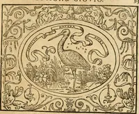 An illustration from Dialogo dell'imprese militari et amorose di monsignor Giovio, vescouo di Nocera : con vn ragionamento di messer Lodouico Domenichi nel medesimo soggetto ; con la tavola (1559)
