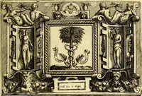 An illustration from Imprese nobili et ingeniose di diversi prencipi, et d'altri personaggi illustri nell'arme et nelle lettere : le quali, col disegno loro estrinseco, dimostrano l'animo, et la buona ò mala fortuna de gli autori loro (1583)