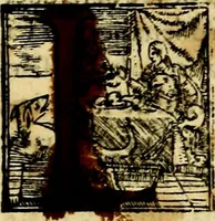 An illustration from Imprese nobili, et ingeniose di diversi prencipi et d'altri personnagi illustri : nell'arme et nelle lettere : le quali, col disegno loro estrinseco, dimostrano l'animo, et la buona o mala fortuna de gli autori loro (1578)