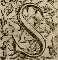 An illustration from Imprese sacre con triplicati discorsi, illustrate & arricchite. Con le aggiuntione [sic] ultimamente fattevi dall'istesso autore et in questa terza impressione, con sei copiosissime tavole molto più che prima adornate (1629)