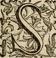 An illustration from Imprese sacre con triplicati discorsi, illustrate & arricchite. Con le aggiuntione [sic] ultimamente fattevi dall'istesso autore et in questa terza impressione, con sei copiosissime tavole molto più che prima adornate (1629)