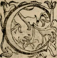 Picture 53 of 130 from Imprese sacre con triplicati discorsi, illustrate & arricchite. Con le aggiuntione [sic] ultimamente fattevi dall'istesso autore et in questa terza impressione, con sei copiosissime tavole molto più che prima adornate (1629), leaf 326