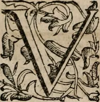 Picture 55 of 130 from Imprese sacre con triplicati discorsi, illustrate & arricchite. Con le aggiuntione [sic] ultimamente fattevi dall'istesso autore et in questa terza impressione, con sei copiosissime tavole molto più che prima adornate (1629), leaf 343