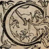 An illustration from Imprese sacre con triplicati discorsi, illustrate & arricchite. Con le aggiuntione [sic] ultimamente fattevi dall'istesso autore et in questa terza impressione, con sei copiosissime tavole molto più che prima adornate (1629)