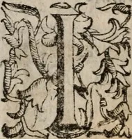 Picture 77 of 130 from Imprese sacre con triplicati discorsi, illustrate & arricchite. Con le aggiuntione [sic] ultimamente fattevi dall'istesso autore et in questa terza impressione, con sei copiosissime tavole molto più che prima adornate (1629), leaf 495