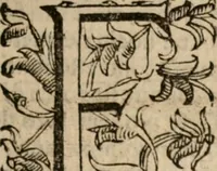 An illustration from Imprese sacre con triplicati discorsi, illustrate & arricchite. Con le aggiuntione [sic] ultimamente fattevi dall'istesso autore et in questa terza impressione, con sei copiosissime tavole molto più che prima adornate (1629)