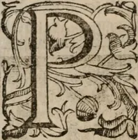 An illustration from Imprese sacre con triplicati discorsi, illustrate & arricchite. Con le aggiuntione [sic] ultimamente fattevi dall'istesso autore et in questa terza impressione, con sei copiosissime tavole molto più che prima adornate (1629)