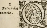 Picture 69 of 93 from Imprese sacre con triplicati discorsi, illustrate & arricchite. Con le aggiuntione [sic] ultimamente fattevi dall'istesso autore et in questa terza impressione, con sei copiosissime tavole molto più che prima adornate (1629), leaf 1000