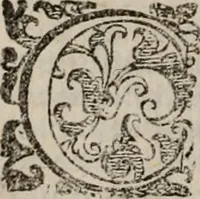 An illustration from Imprese sacre con triplicati discorsi, illustrate & arricchite. Con le aggiuntione [sic] ultimamente fattevi dall'istesso autore et in questa terza impressione, con sei copiosissime tavole molto più che prima adornate (1629)
