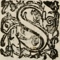An illustration from Imprese sacre con triplicati discorsi, illustrate & arricchite. Con le aggiuntione [sic] ultimamente fattevi dall'istesso autore et in questa terza impressione, con sei copiosissime tavole molto più che prima adornate (1629)