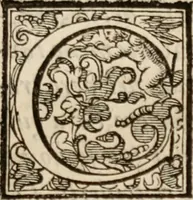 An illustration from Imprese sacre con triplicati discorsi, illustrate & arricchite. Con le aggiuntione [sic] ultimamente fattevi dall'istesso autore et in questa terza impressione, con sei copiosissime tavole molto più che prima adornate (1629)