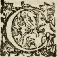 An illustration from Imprese sacre con triplicati discorsi, illustrate & arricchite. Con le aggiuntione [sic] ultimamente fattevi dall'istesso autore et in questa terza impressione, con sei copiosissime tavole molto più che prima adornate (1629)