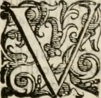 An illustration from Imprese sacre con triplicati discorsi, illustrate & arricchite. Con le aggiuntione [sic] ultimamente fattevi dall'istesso autore et in questa terza impressione, con sei copiosissime tavole molto più che prima adornate (1629)
